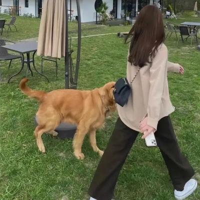 你的伤心理师都知道